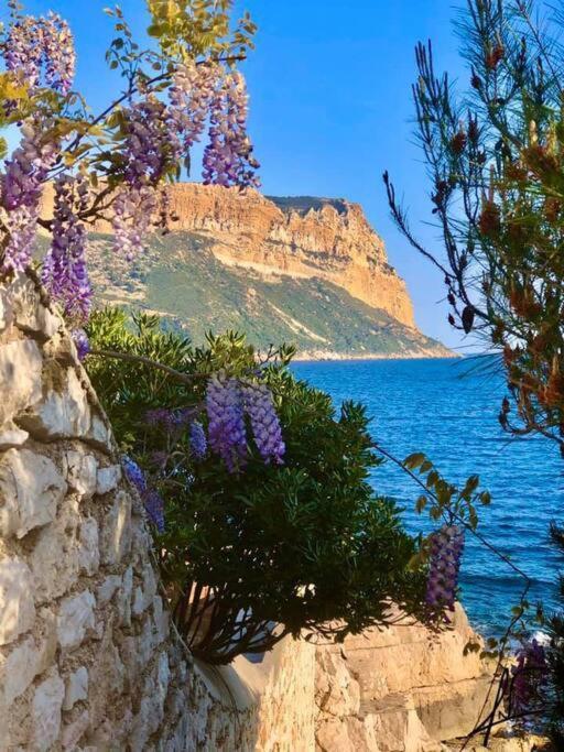 Charmant Studio Au Coeur De Cassis Buitenkant foto